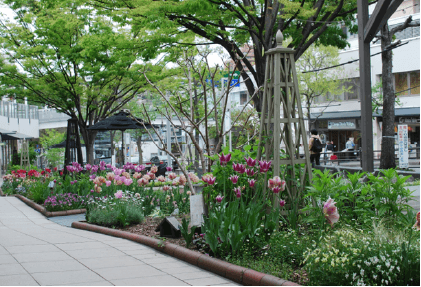 星が丘テラスイメージ写真